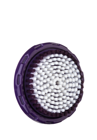 Plum Body Brush