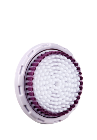 Lavender Body Brush
